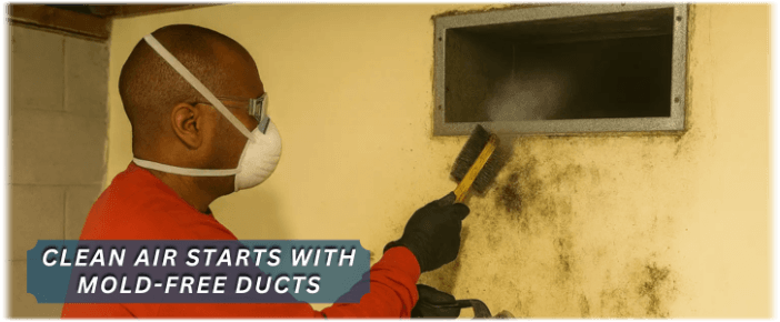 Air Duct Mold Removal in Humble