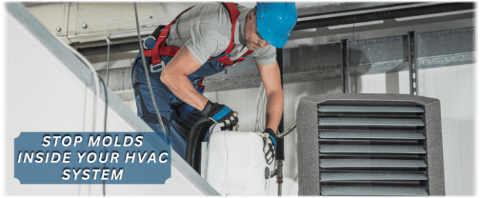 HVAC Mold Removal Humble